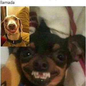 Meet your Posher, Francisco